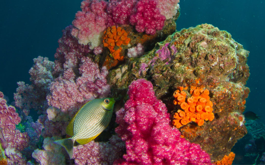 Must-do outdoor adventures in Cambodia
